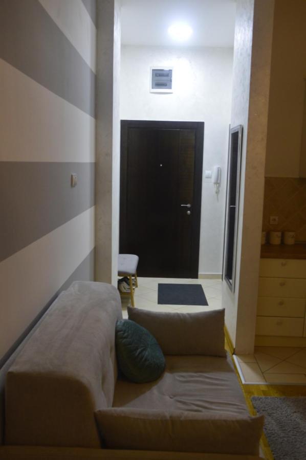Teodora Lux Apartman Free Privat Parking Apartment โนวีซาด ภายนอก รูปภาพ