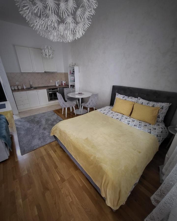 Teodora Lux Apartman Free Privat Parking Apartment โนวีซาด ภายนอก รูปภาพ